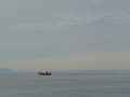 Lone Seiner